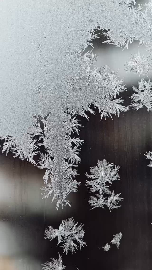 Bundle up badgers~ add a touch of fur, down & wools‼️♻️🥶🧣
•
•
•#resaleboutique #rethreadsstatestreet #rethreadsmadison #rethreadsstyle #uwmadison